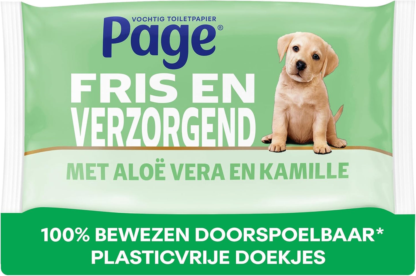 Limpieza y cuidado del hogar Page | A1456