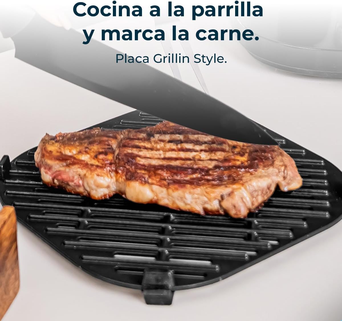 Freidora Cecotec Freidora de | A1104
