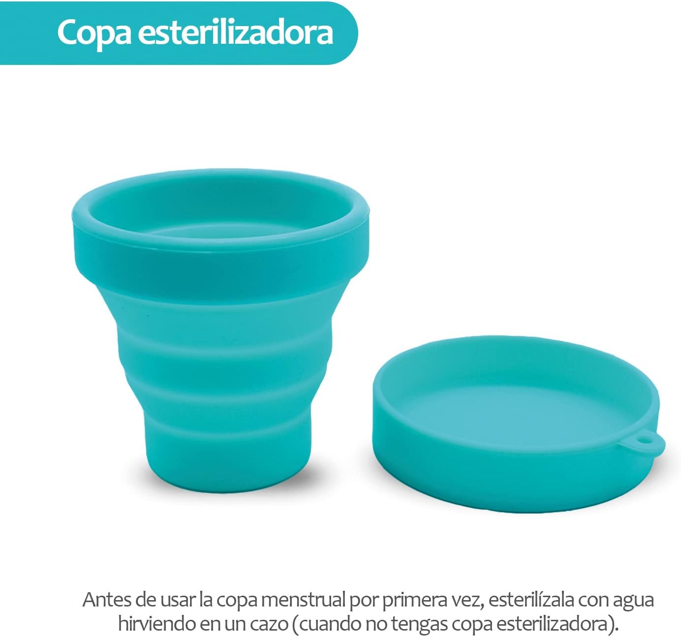 Copa Menstrual Edicare | A1602