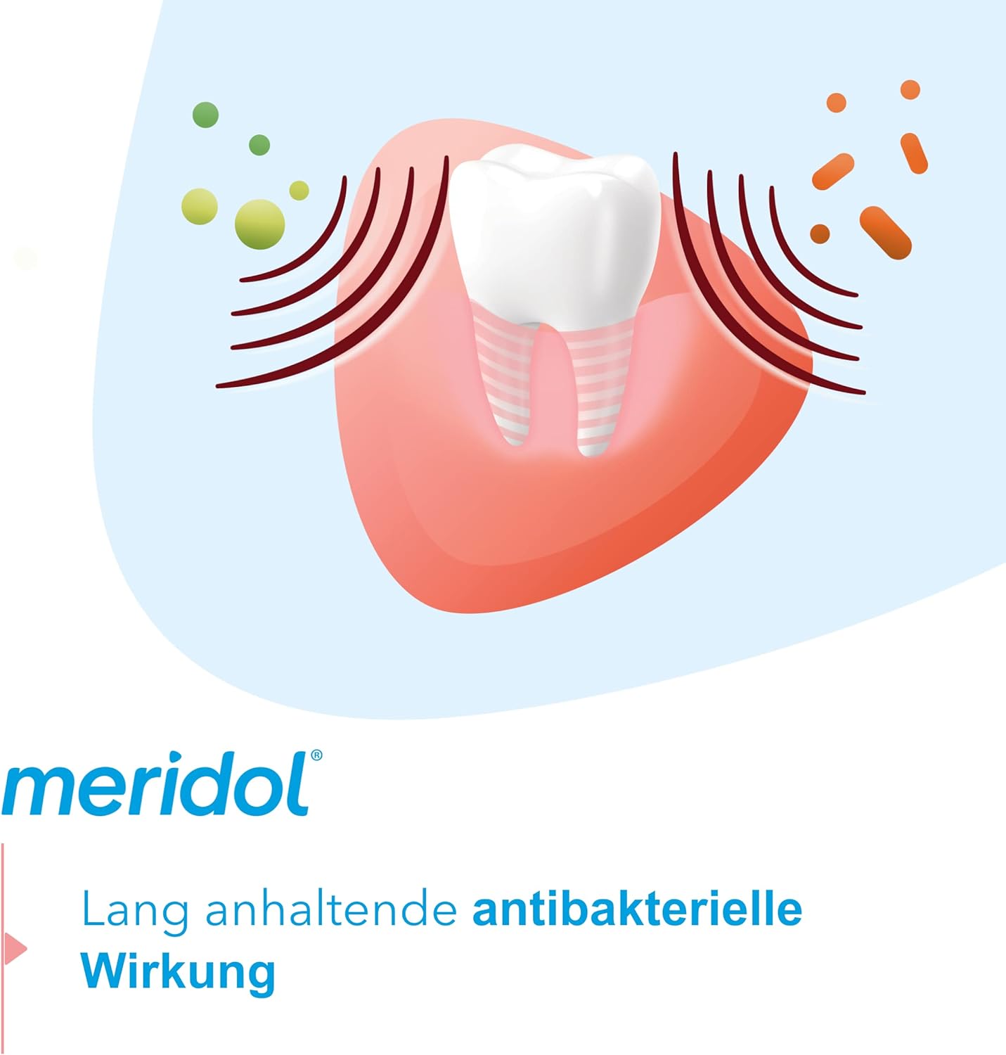 Enjuague Bucal Meridol Protect your gums ® | A1911