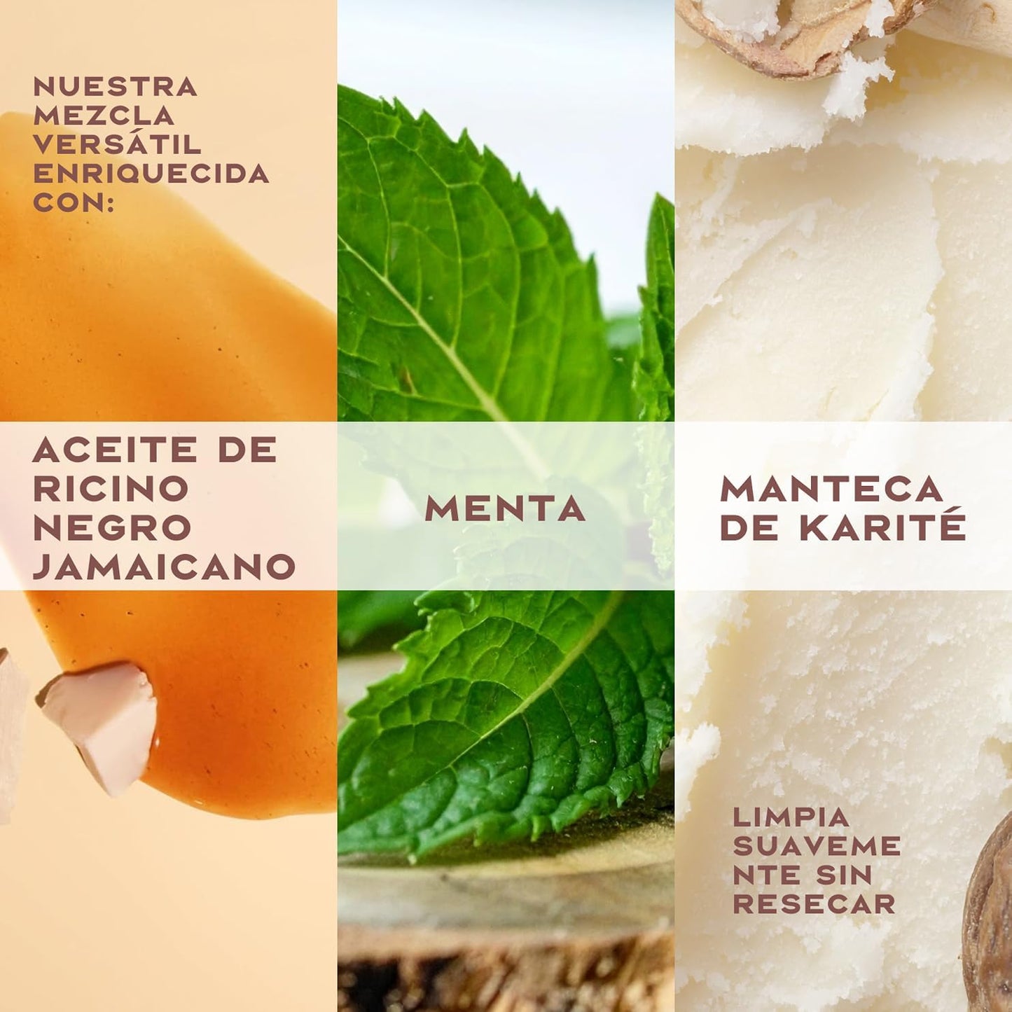 Champú SheaMoisture | A1527