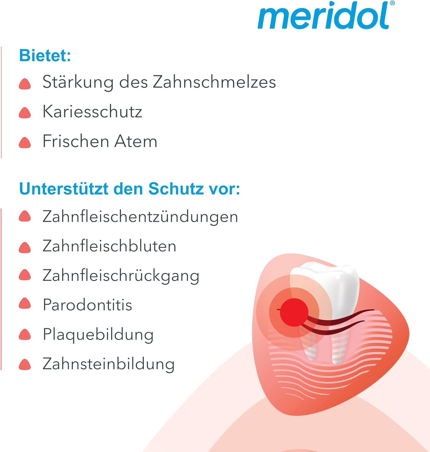Enjuague Bucal Meridol Protect your gums ® | A1911