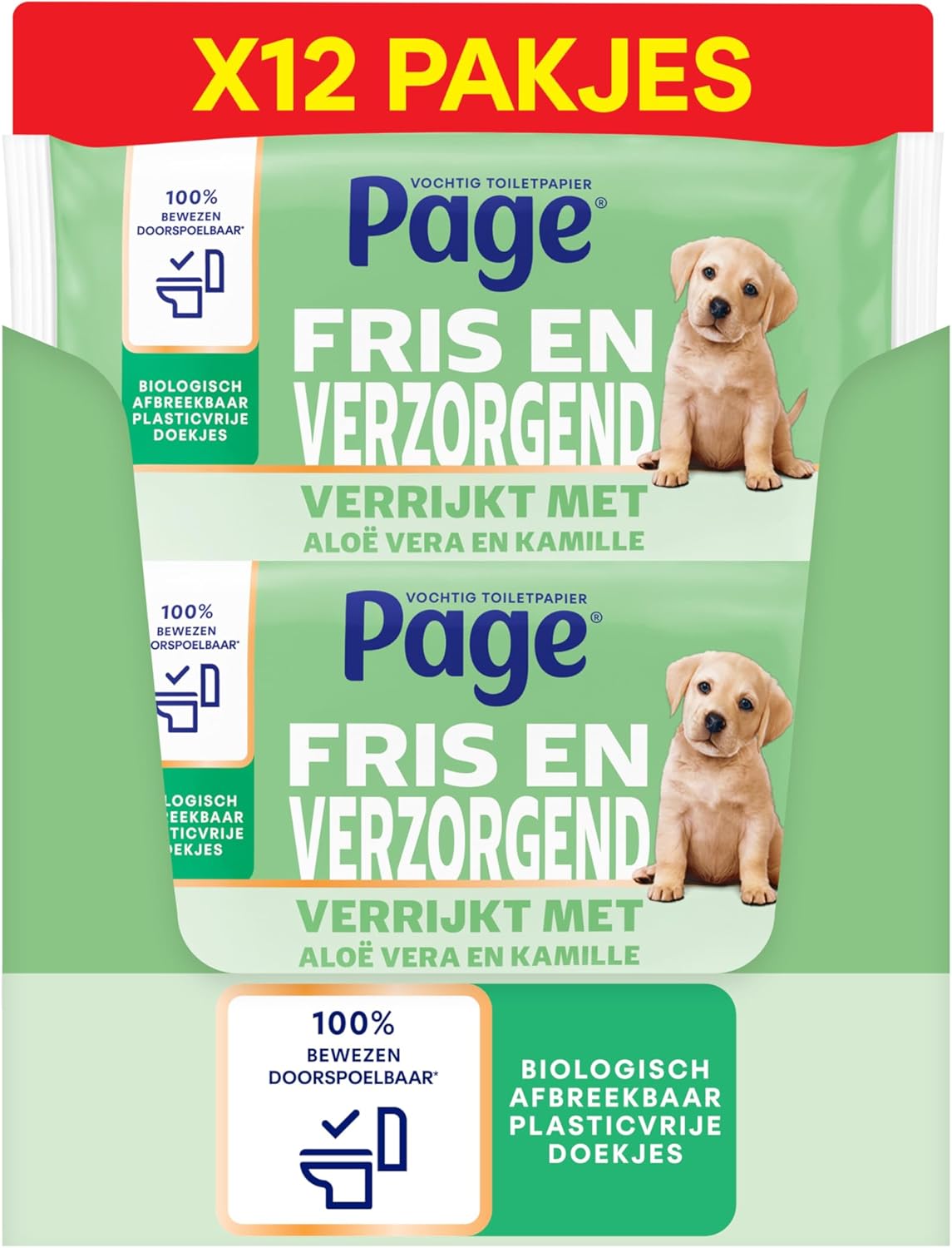 Limpieza y cuidado del hogar Page | A1456
