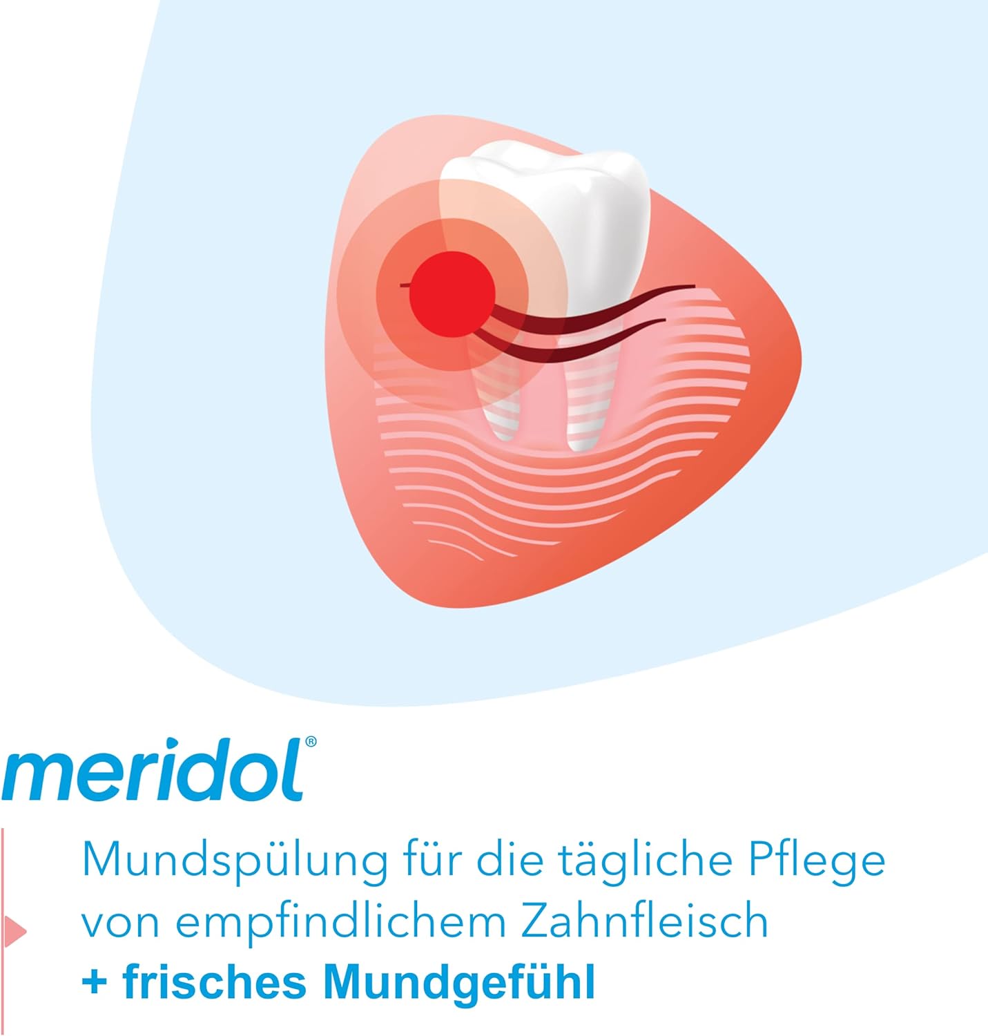 Enjuague Bucal Meridol Protect your gums ® | A1911
