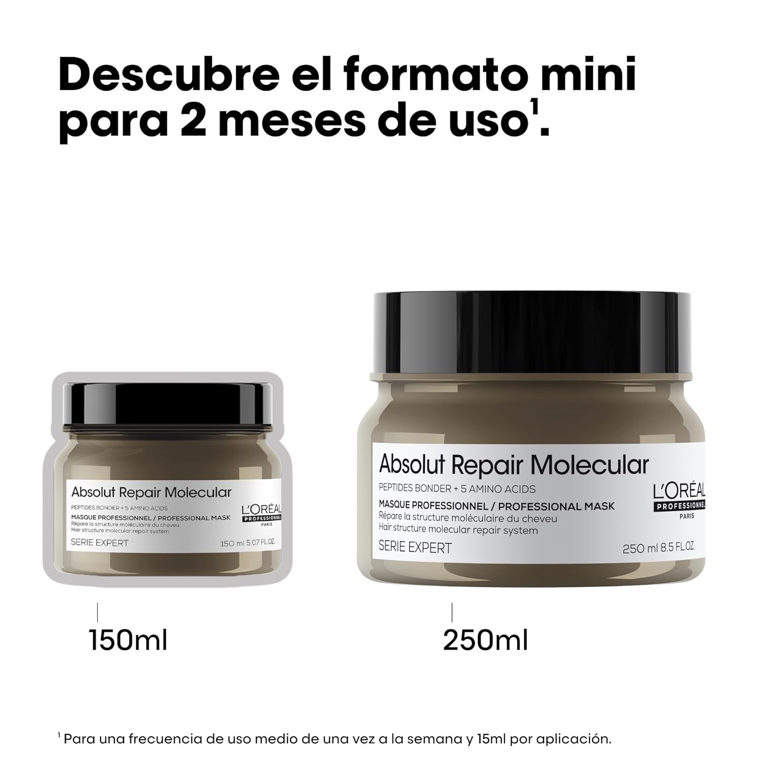 Mascarilla L'Oréal Professionnel Absolut R | A1451