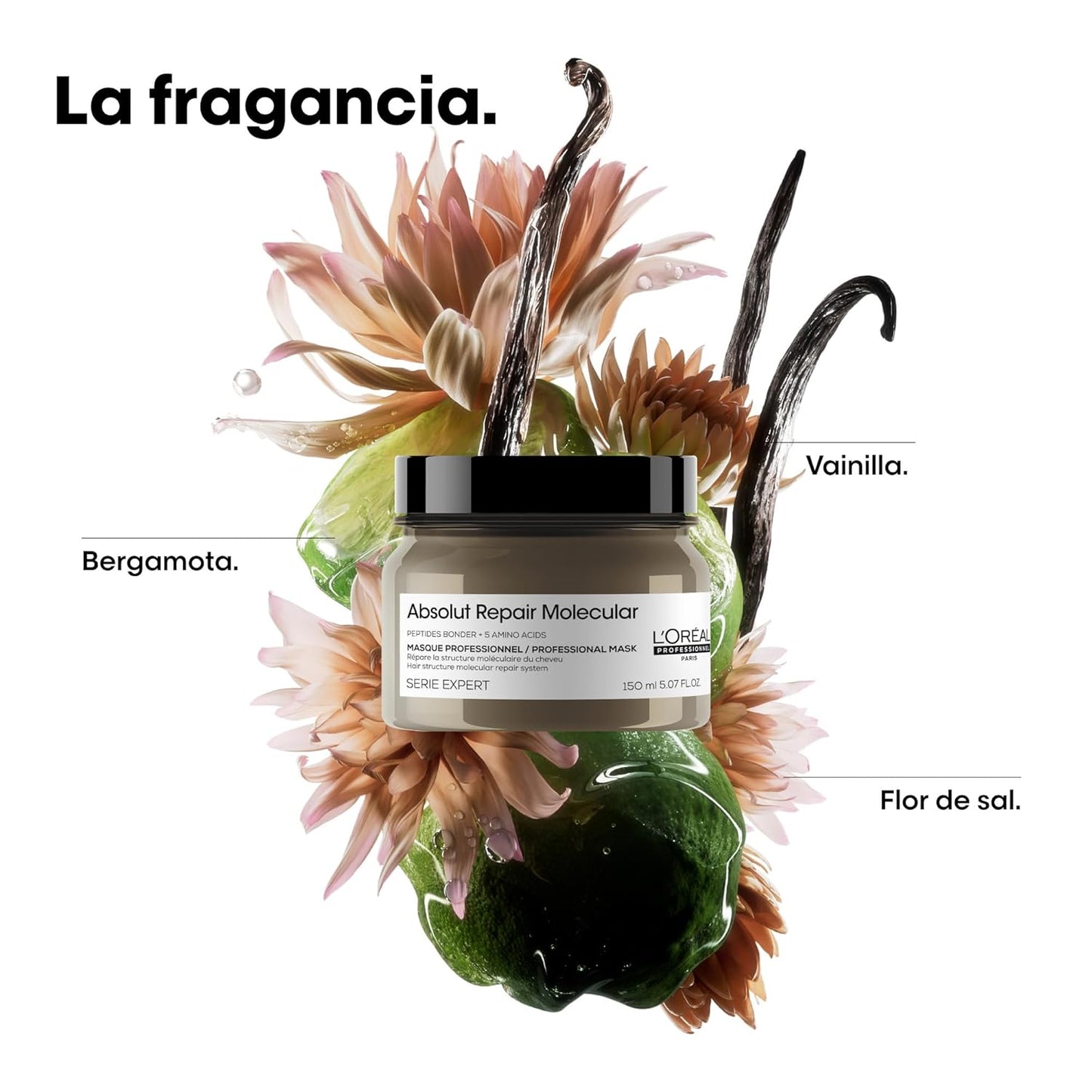 Mascarilla L'Oréal Professionnel Absolut R | A1451