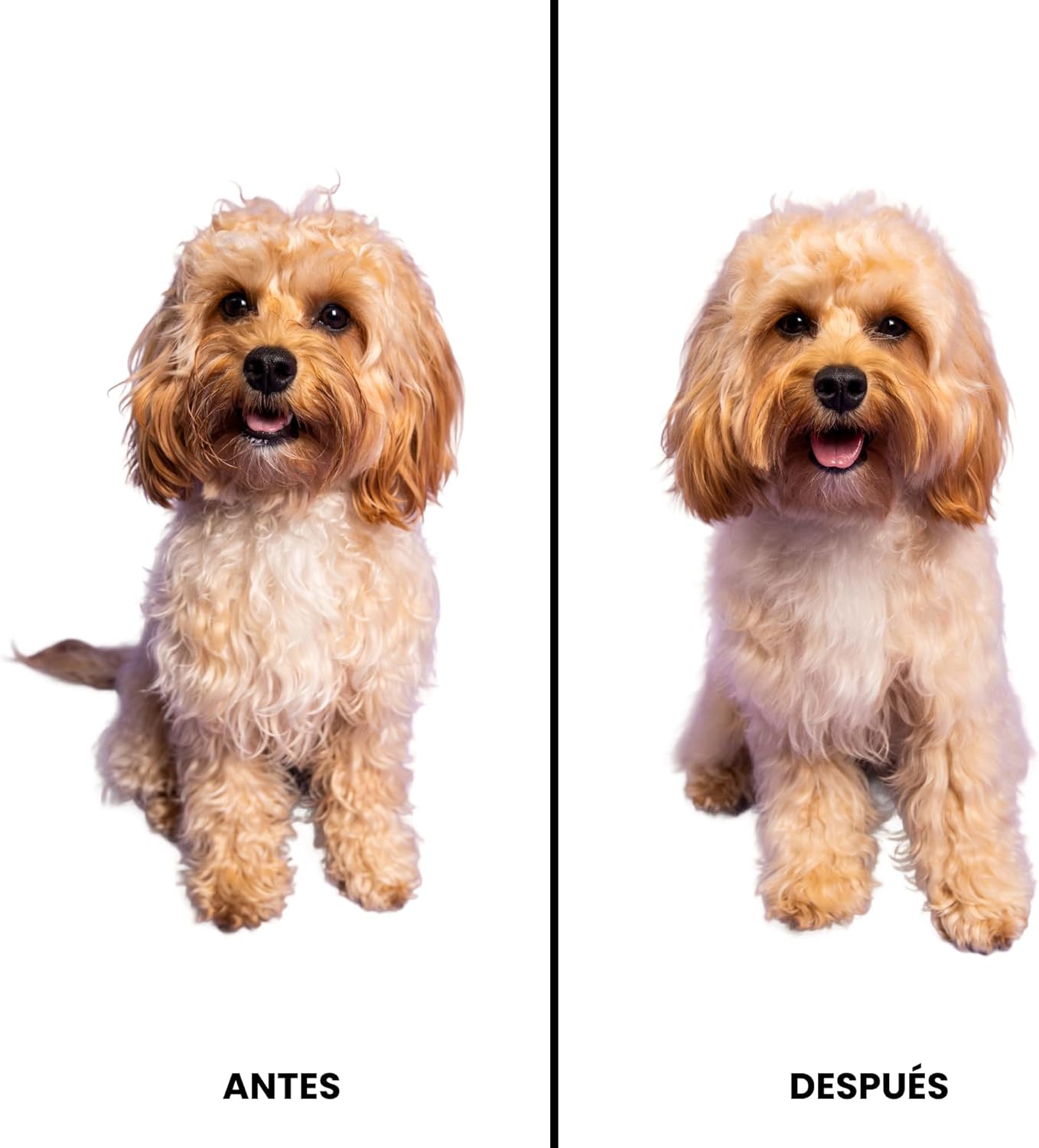 Cepillo pelo Pet Teezer | A1464
