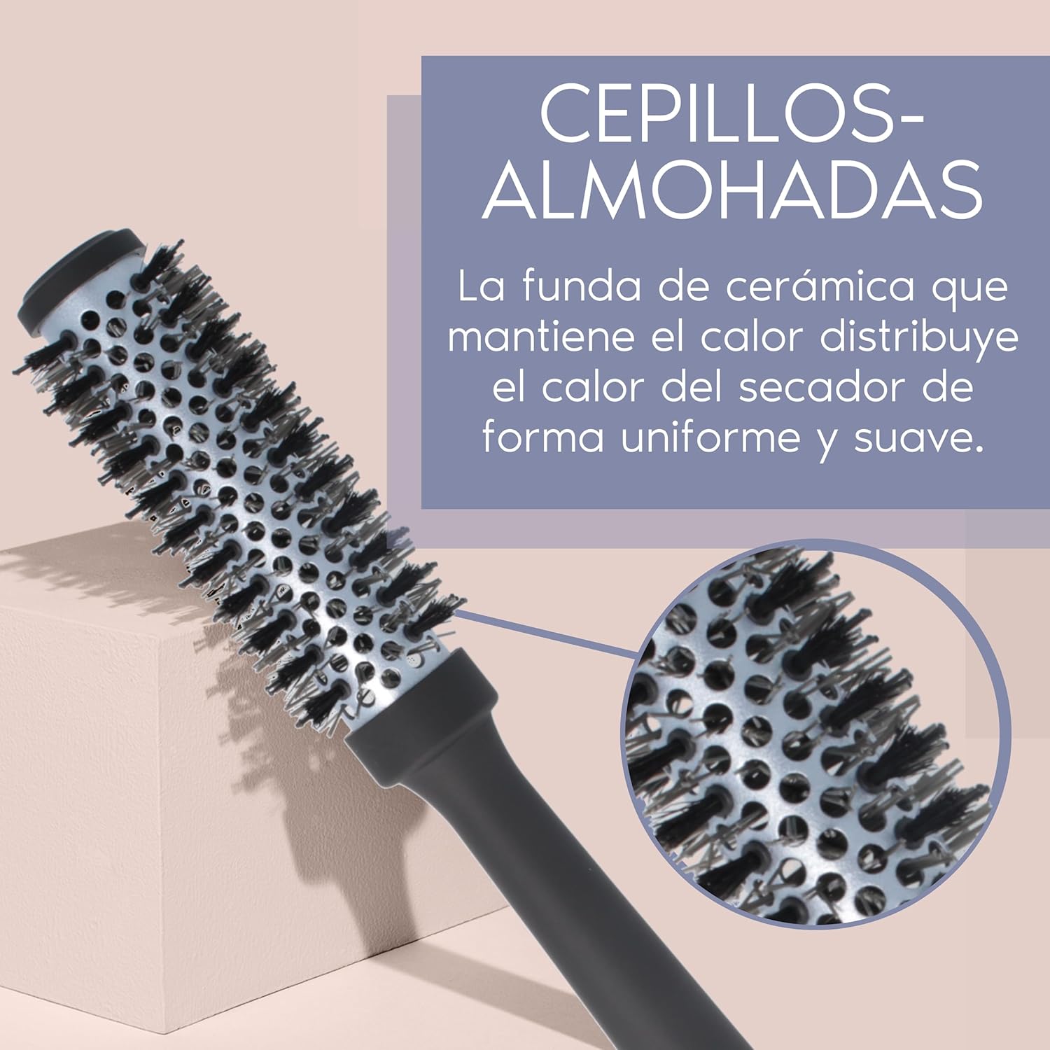 Cepillo Pelo PARSA Beauty | A1618