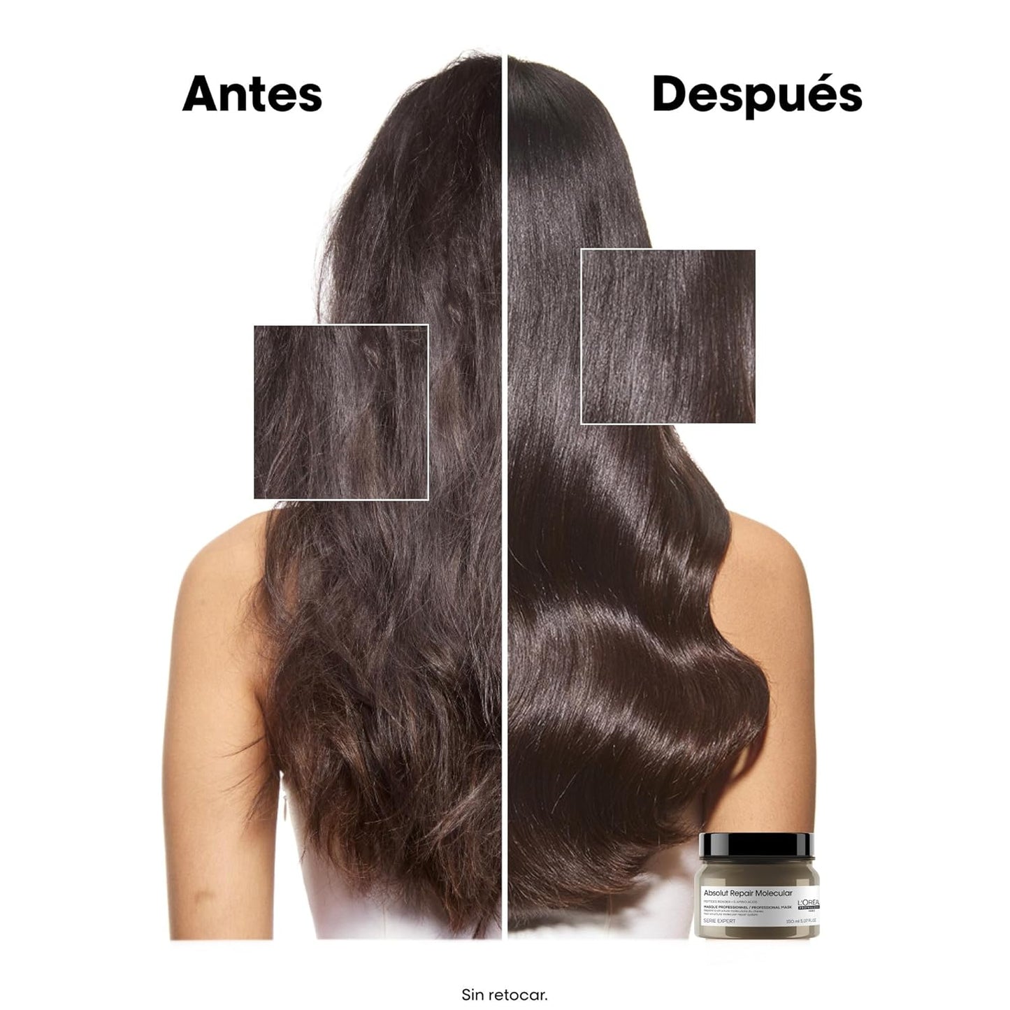 Mascarilla L'Oréal Professionnel Absolut R | A1451