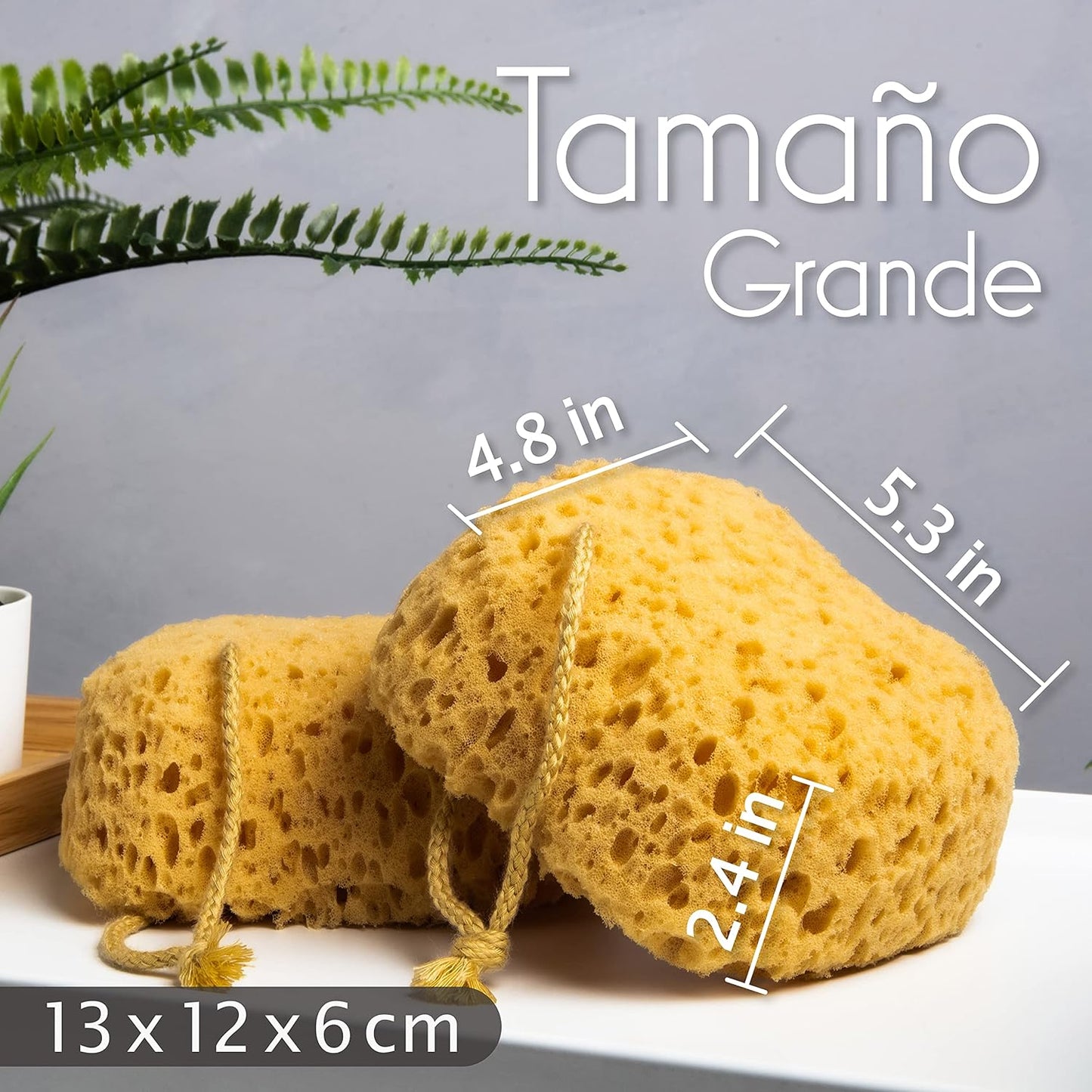 Esponjas Baño myHomeBody 3u | A1783