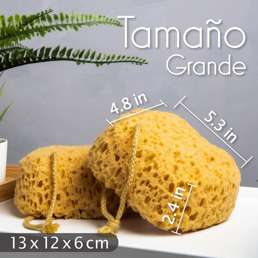 Esponjas Baño myHomeBody 3u | A1783
